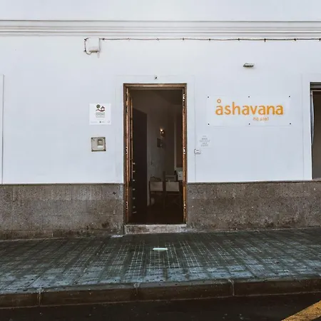 Ashavana Nest Hostel *