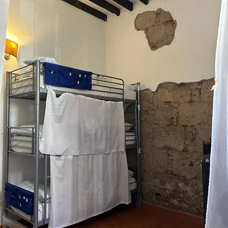 Ashavana Nest אל מדאנו