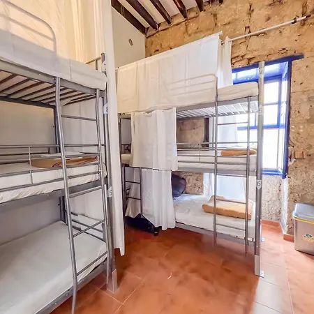 Ashavana Nest Hostel