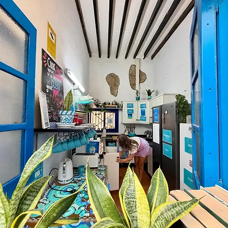 Ashavana Nest אכסניה אל מדאנו