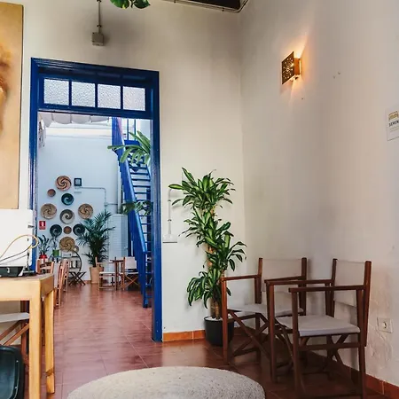 Ashavana Nest Hostel Hostel El Medano (Tenerife)