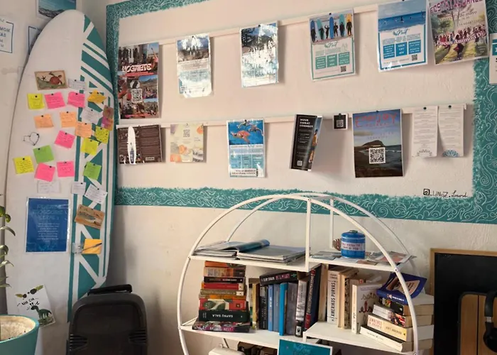 Hostel Ashavana Nest